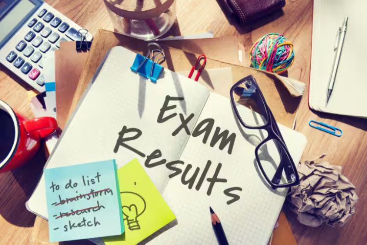 Vidyodaya Institute creates history, sets new benchmark in CA Intermediate 2025 results