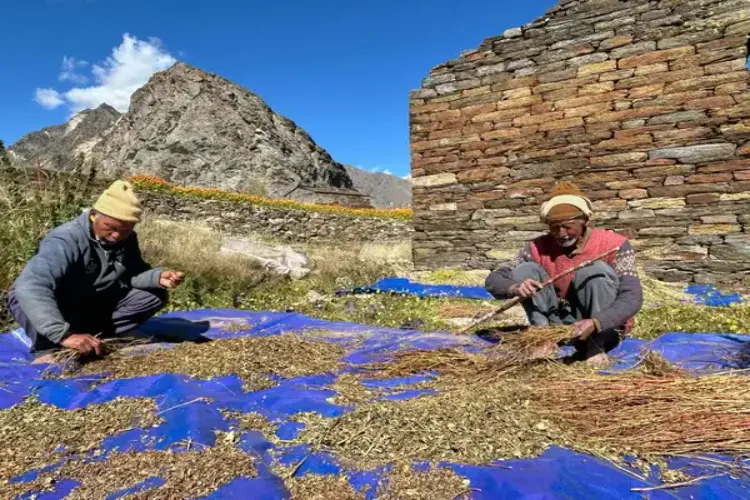 Development of 124 border villages in Jammu and Kashmir under the 'Vibrant Village' programme