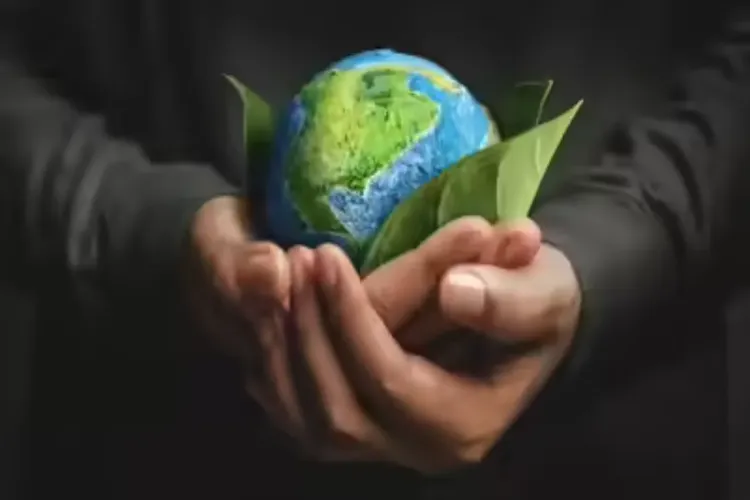 World Environment Day: Save the environment to save life