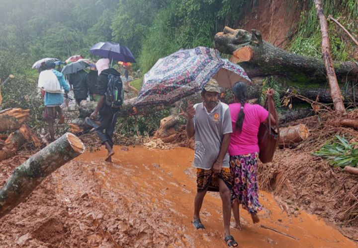 Three people killed in rain-related incidents in Tamil Nadu; 57,000 hectares of agricultural land affected: Minister