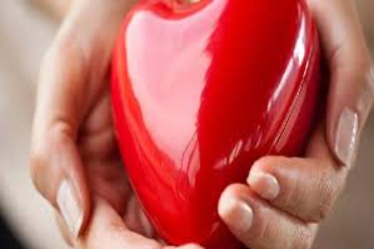 Data on heart attack cases not maintained centrally: Government