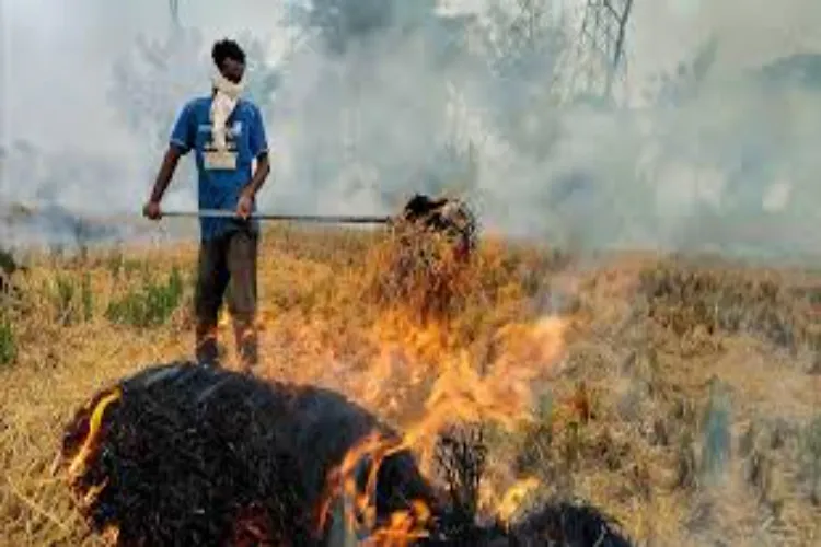 The Central Government has accelerated multilateral measures to prevent pollution due to stubble burning: Government statement in the Rajya Sabha