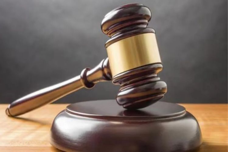 Delhi: Case against school in-charge for possessing banned mongoose hair brush dismissed