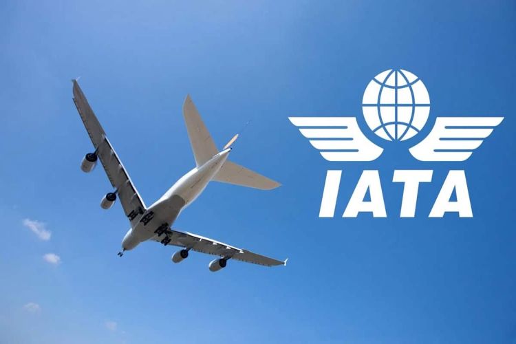 Global airline industry expects record profits of $41 billion in 2026: IATA