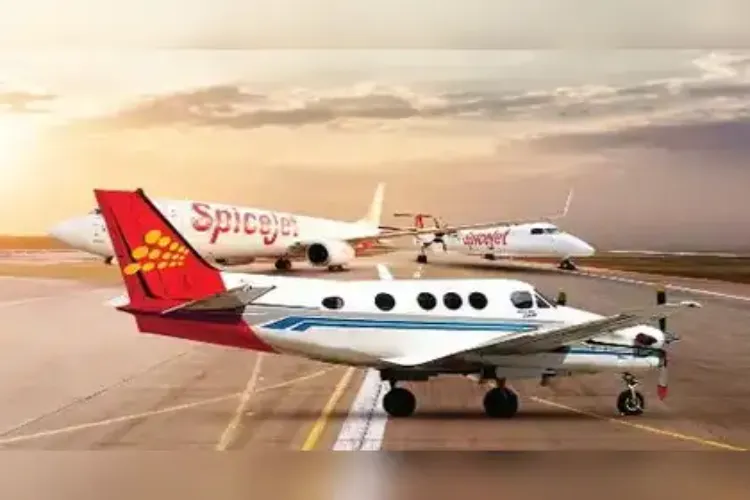 SpiceJet to launch 100 new daily flights this winter