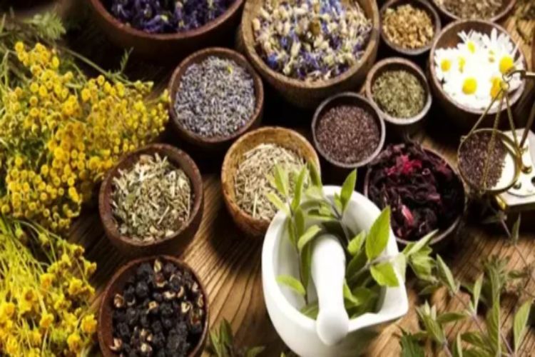 UP government to launch new scheme to promote AYUSH industry
