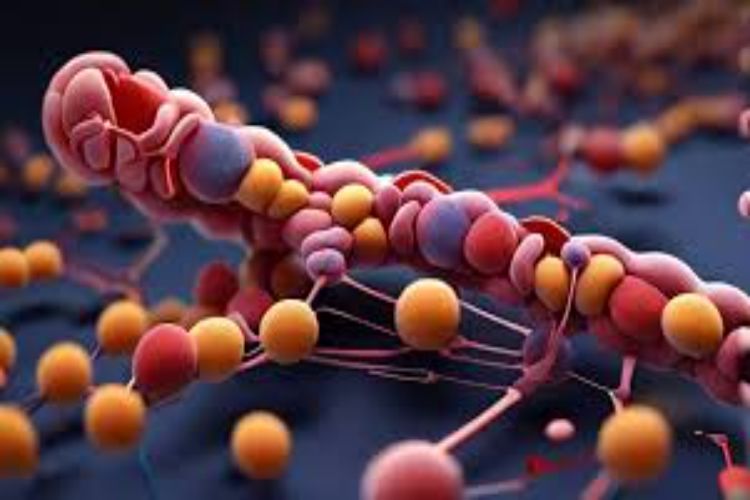 A molecule produced by gut bacteria has been shown to be effective against diabetes, offering hope for a new treatment.