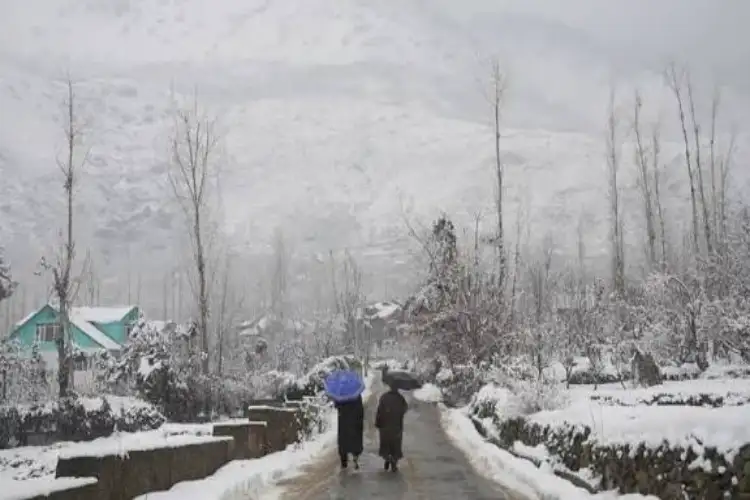 J-K: Cold wave grips Kashmir Valley as tourists rejoice, await snowfall