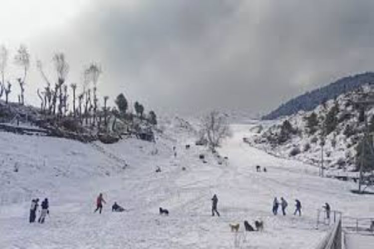 Cold wave hits Kashmir Valley, tourists happy amid chill, awaiting snowfall