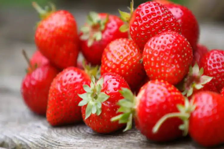 Urban e-commerce boosts rural farmers' income in UP's Sambhal with rising strawberry demand