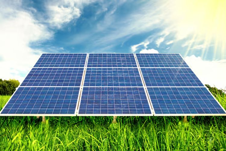 Google partners with ReNew to set up 150 MW solar project in Rajasthan