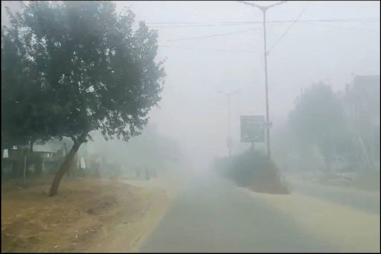 Fog engulfs many areas of Rajasthan, cold continues