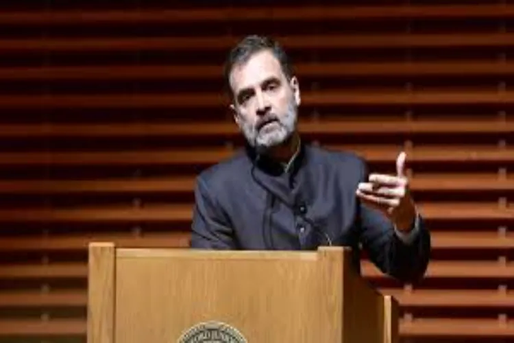 Democracy is a process of dialogue and accountability, Rahul Gandhi's speech in Berlin