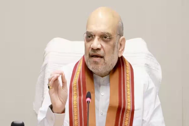 Real estate developers should include green spaces in their projects: Amit Shah