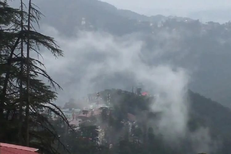 Himachal: Meteorological Department issues 'Yellow' alert for dense fog in Bhakra Dam area, Balh Valley