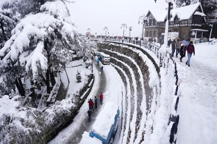 Fog wreaks havoc in northern states, snowfall expected in Kashmir and Himachal