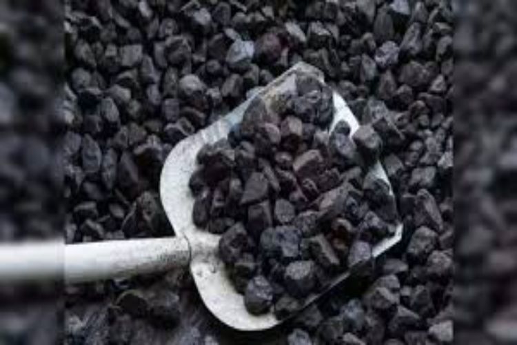 Coal's share in energy consumption is expected to decline to 30-35 percent by 2047: Experts