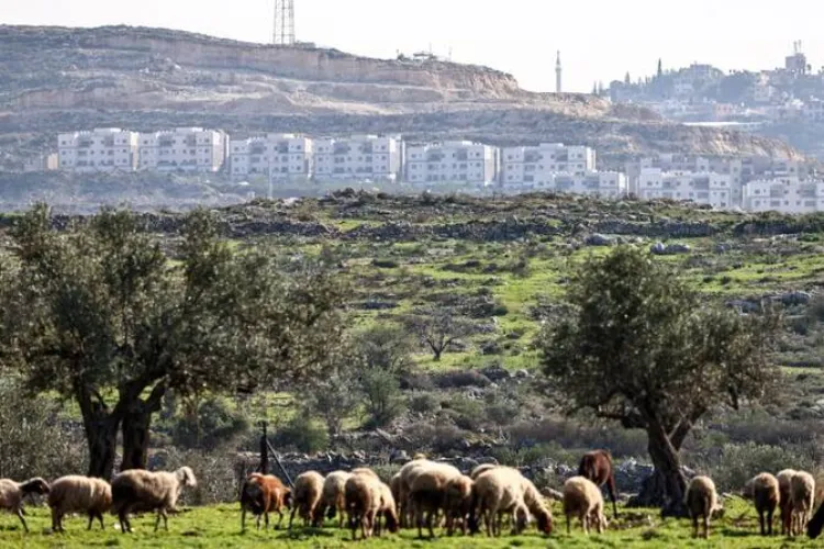 Israel has approved 19 new settlements in the West Bank.