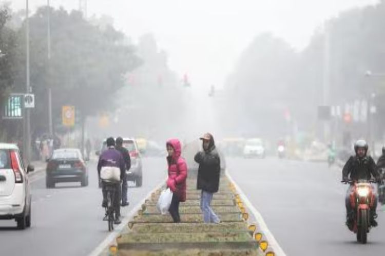 Cold wave continues in Punjab and Haryana, temperatures remain above normal