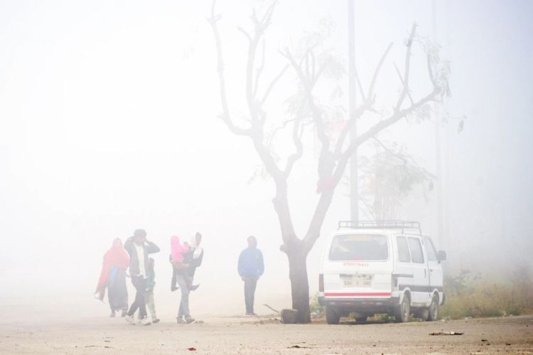 Fog engulfed many areas of Rajasthan