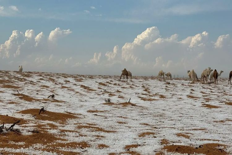 Unusual cold wave wreaks havoc in Saudi Arabia, with temperatures plummeting due to snowfall and torrential rain in northern areas.
