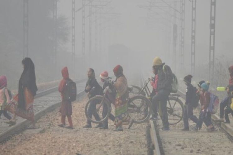 Dense fog in Haryana in the morning, Narnaul the coldest place at 5.5 degrees Celsius