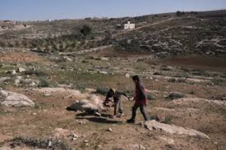 Israeli settlers attack in the West Bank, tear gas fired at Palestinian children.