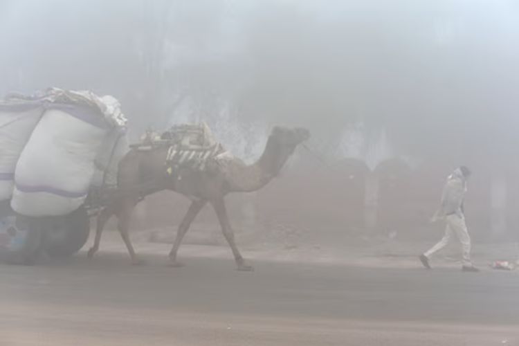 Fog prevailed at many places in Udaipur division of Rajasthan.