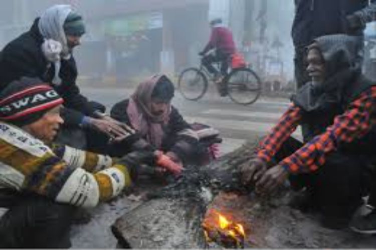 Severe cold in Punjab and Haryana, temperature in Narnaul reaches 5.5 degrees Celsius