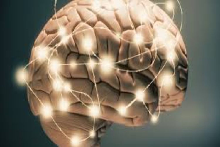 Scientists reverse Alzheimer's in mice, restore memory: Study