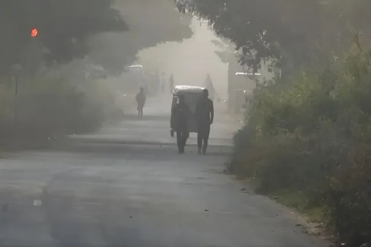 Cold wave grips Odisha, weather department issues fog warning