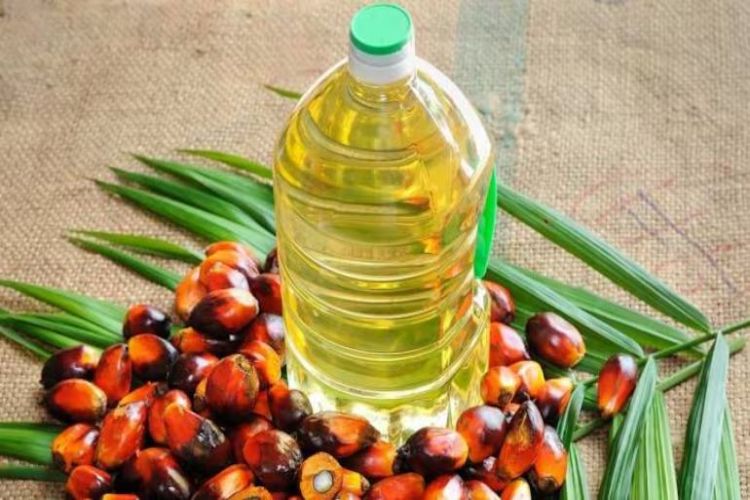 Mustard oil declined last week, soybean oil and palm-palmolein improved