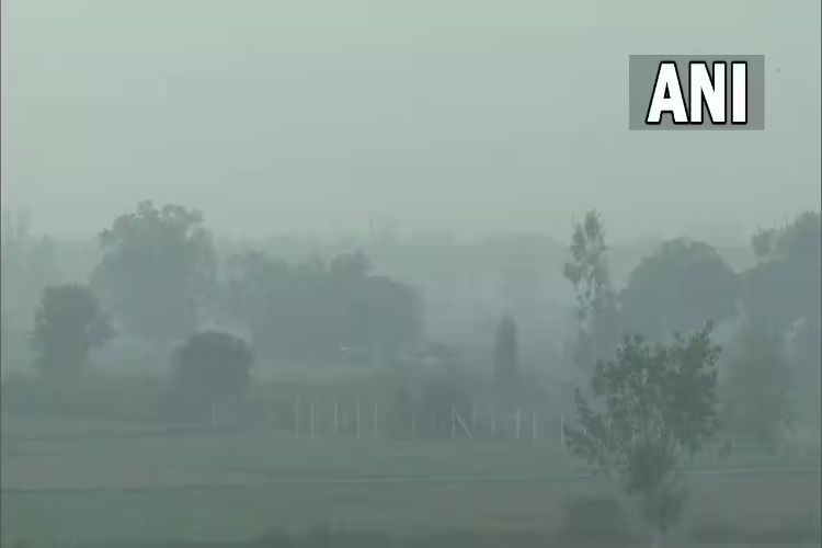 Severe cold continues in Punjab and Haryana, dense fog reduces visibility at many places
