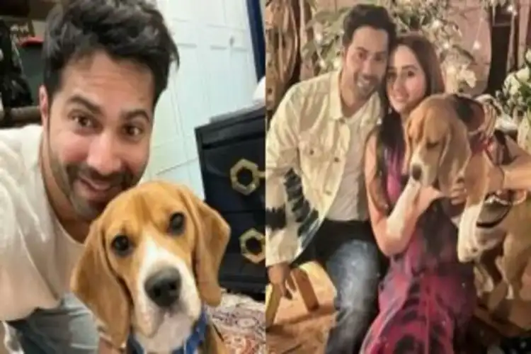 Varun Dhawan's dog Angel passes away, actor shares emotional post: 