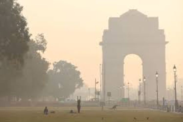 Delhi pollution: The government will have to take effective steps in the coming year to find a permanent solution.