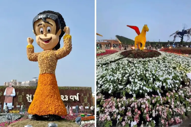 Ahmedabad to host 14th International Flower Show from Jan 1, 2026