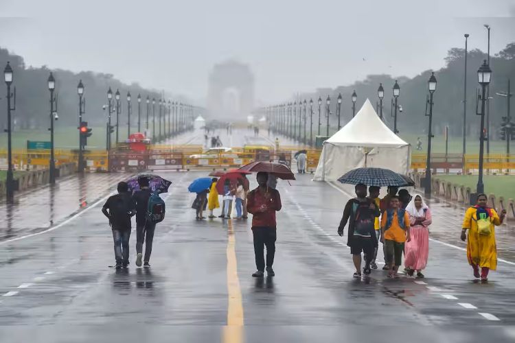 Delhi welcomes New Year with bitter cold, light rain likely