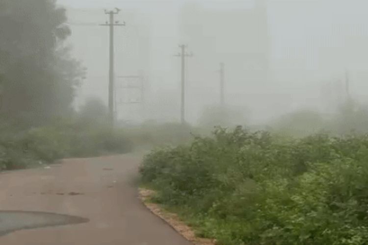 Light rain and fog at many places in Rajasthan