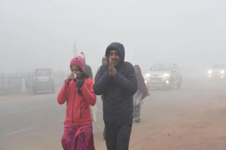 Fatehpur is the coldest place in Rajasthan, while Jaipur recorded a minimum temperature of 8.8 degrees Celsius.