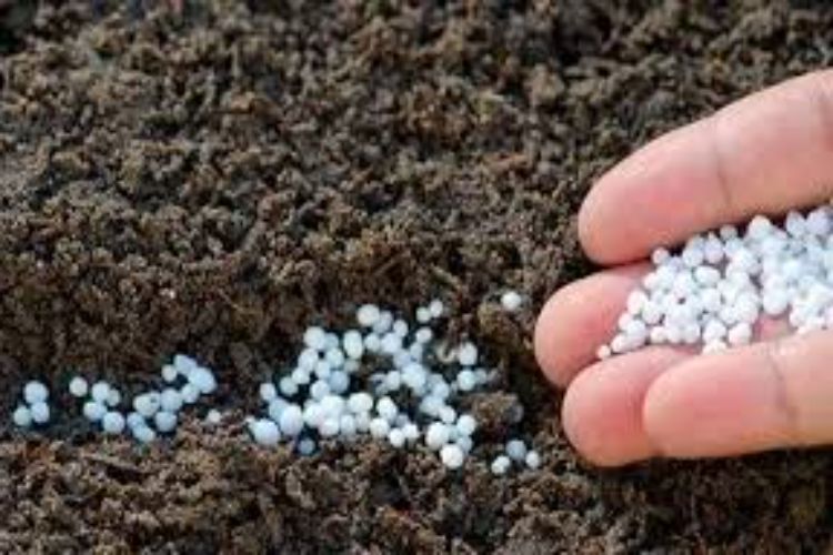 India's urea imports more than doubled to 7.17 million tonnes in April-November: FAI