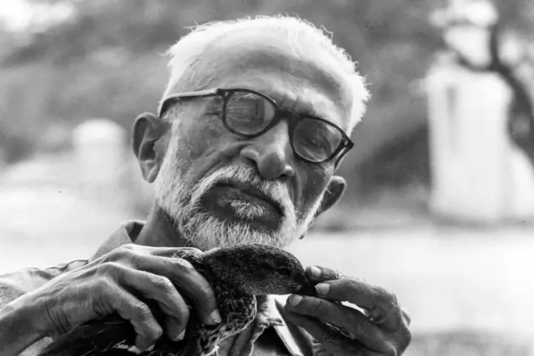 A tribute to India's Birdman: Dr. Salim Ali, who gave a voice to birds.
