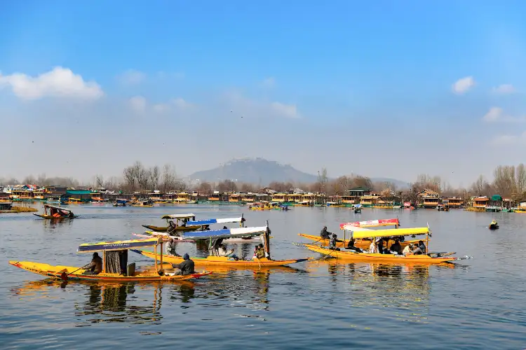 Cold wave persists in Kashmir; tourists enjoy Dal Lake shikara rides