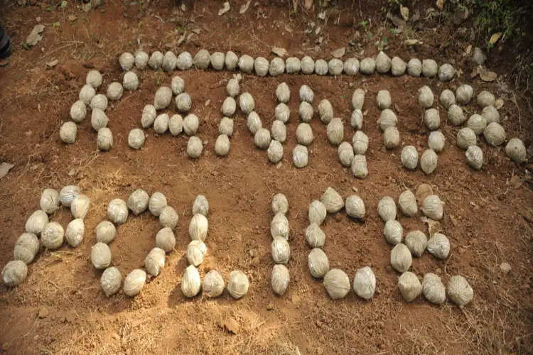 Twelve country-made bombs seized in Kerala's Kannur