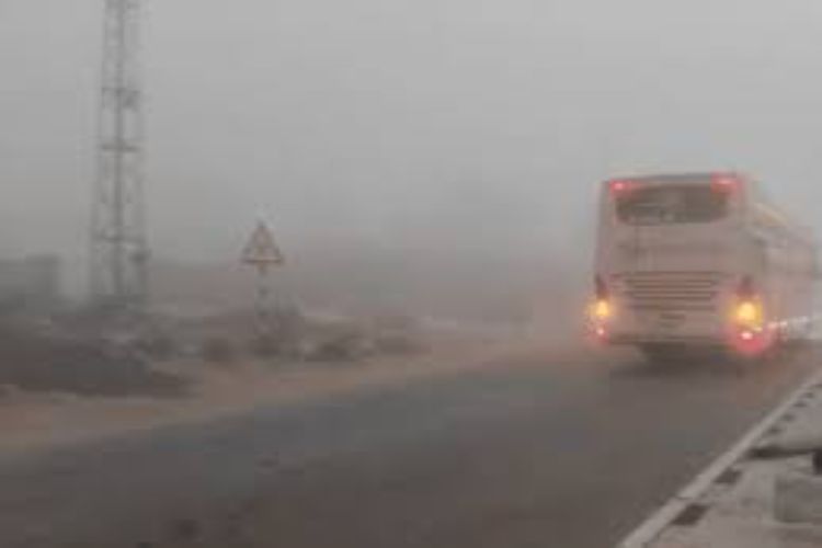 Cold wave, dense fog in many areas of Rajasthan