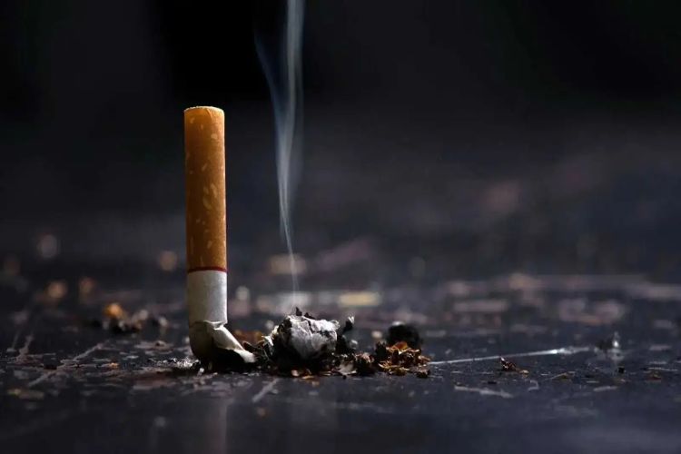 Excise duty on tobacco products poses threat to small retailers, govt should re-evaluate: FRAI