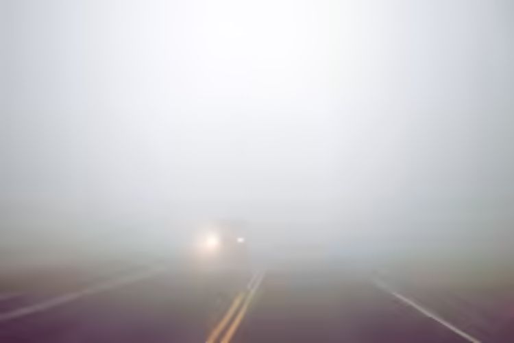 Cold wave grips several areas of Rajasthan, rain at many places