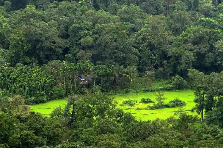 Tamil Nadu notifies 100 new reserved forests to boost conservation and climate resilience