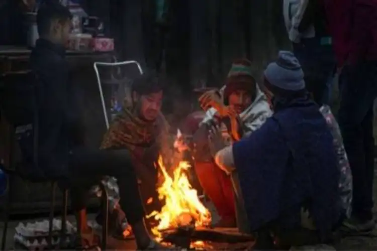 IMD issues agromet advisory for Haryana; cold wave, dense fog likely, farmers advised caution