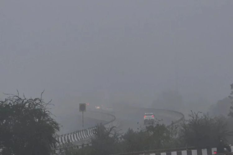 Fog reduced visibility in Punjab and Haryana