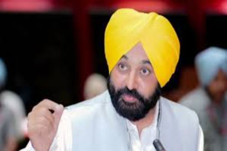 Punjab government preparing youth for competitive exams through 'Mission Pragati': Mann